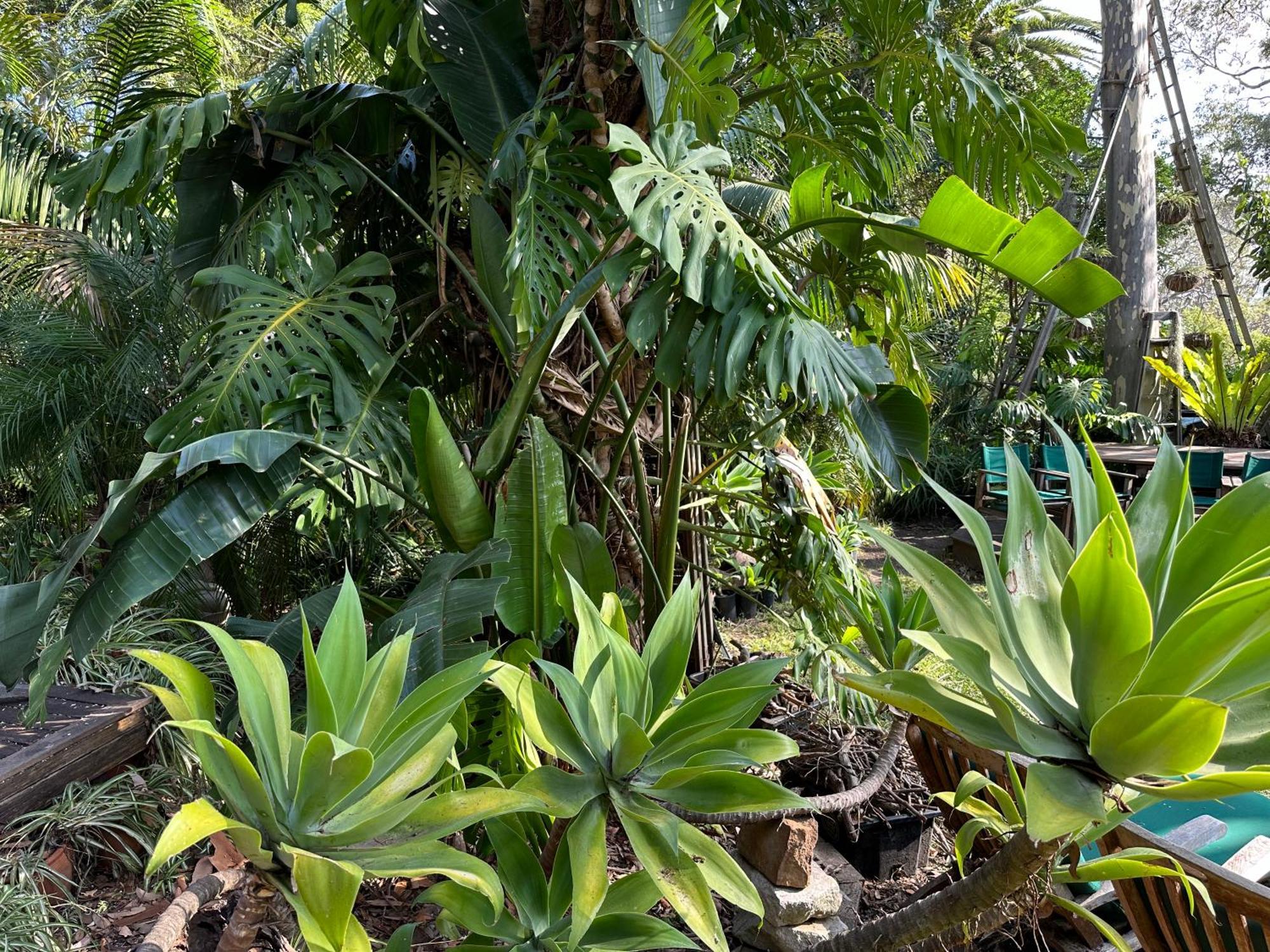 Palm Bed & Breakfast