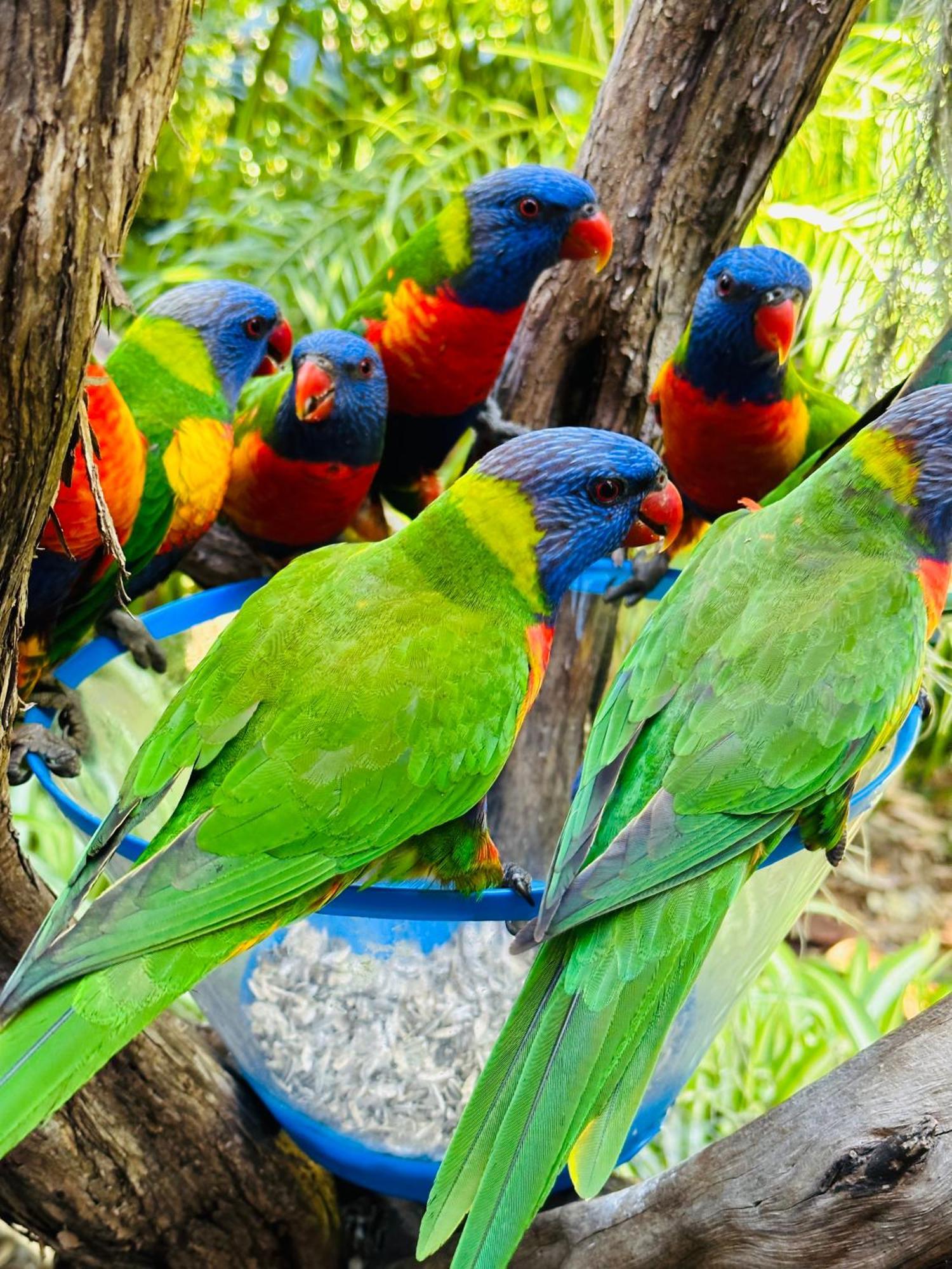 Palm Bed & Breakfast