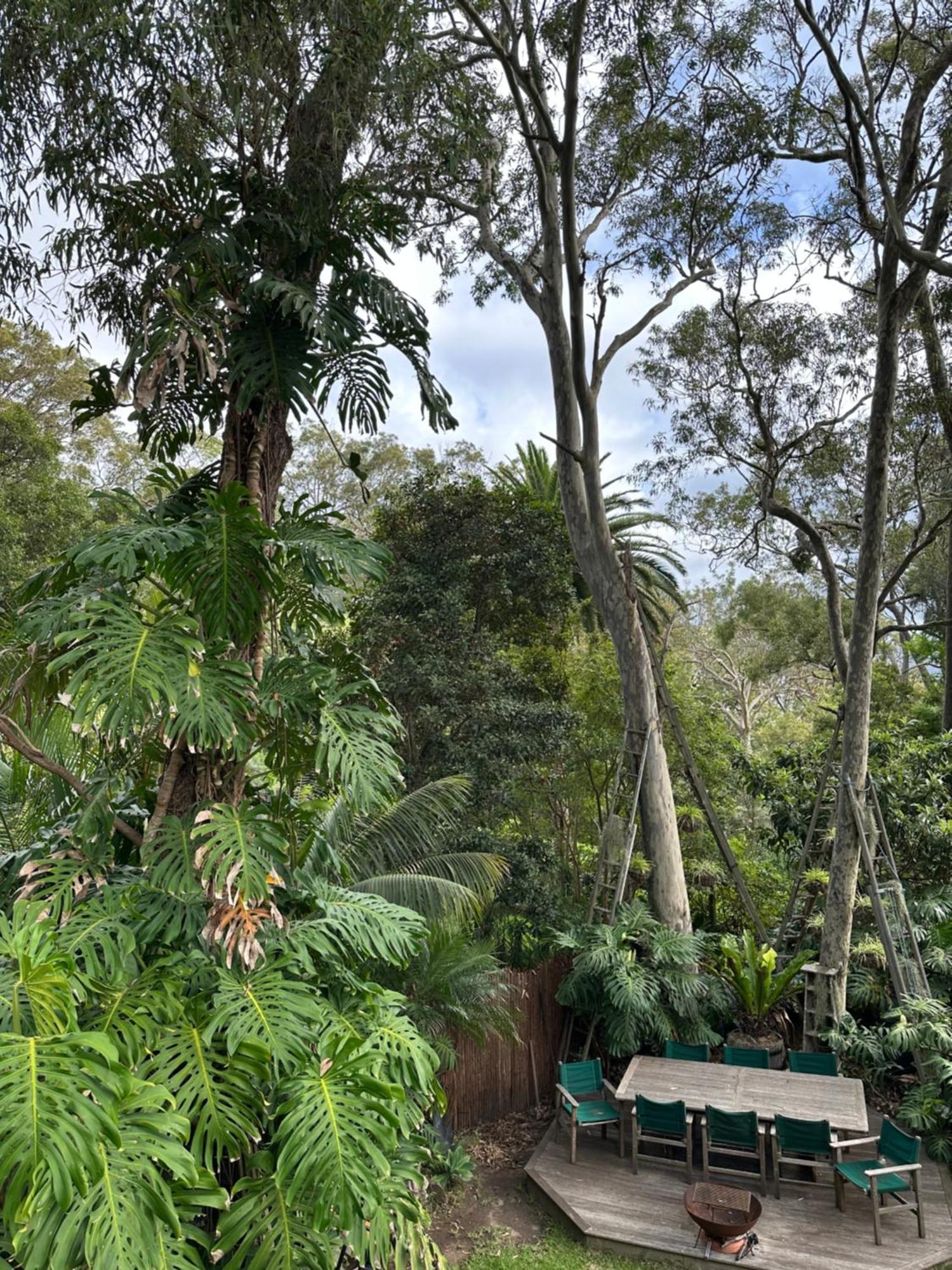 Palm Bed & Breakfast Palm Beach