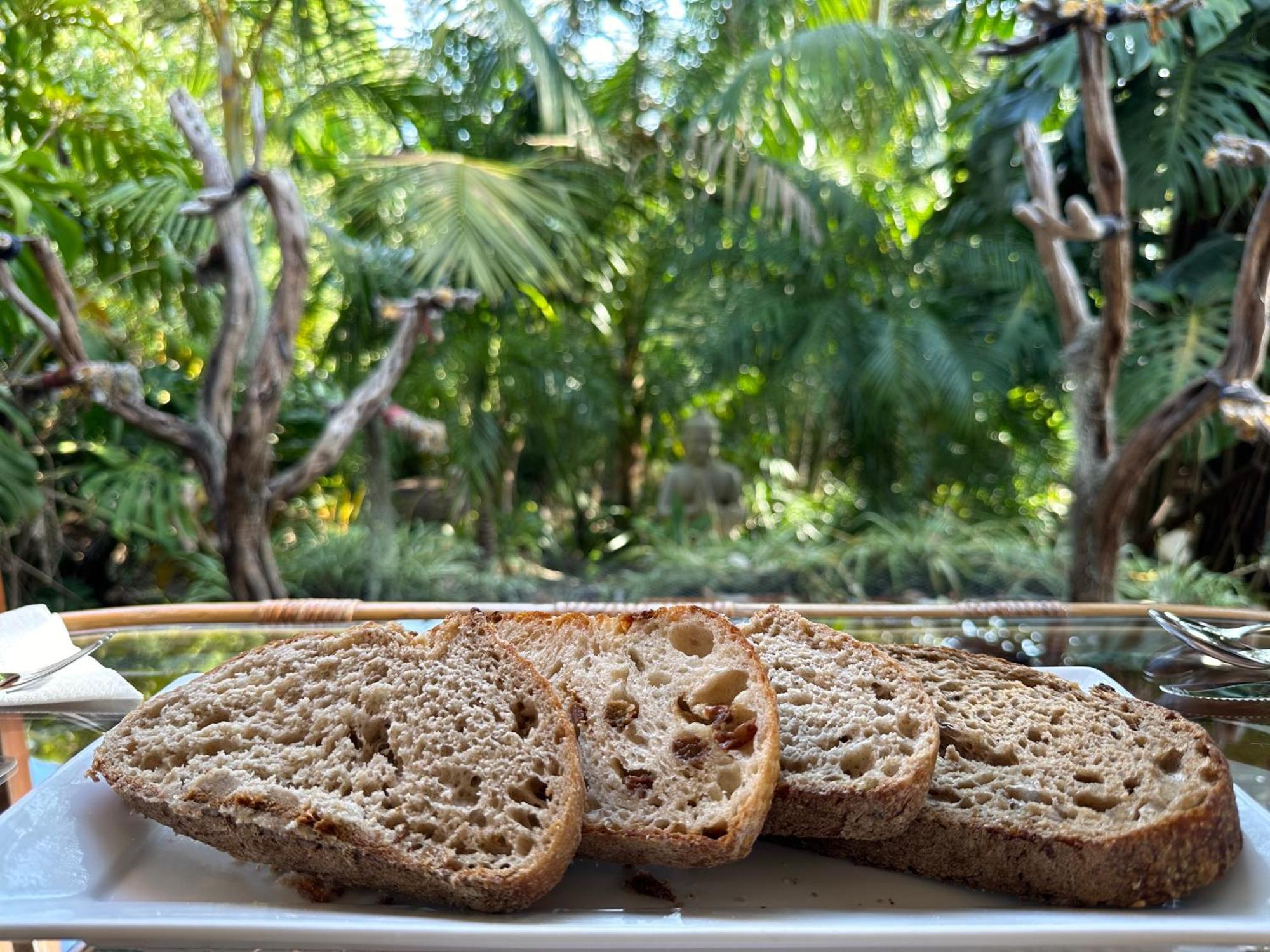 Bed & Breakfast Palm Palm Beach